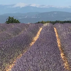 provence-luberon-bonnieux-location-gite-chez-marcelle.fr-provencehotel.com/